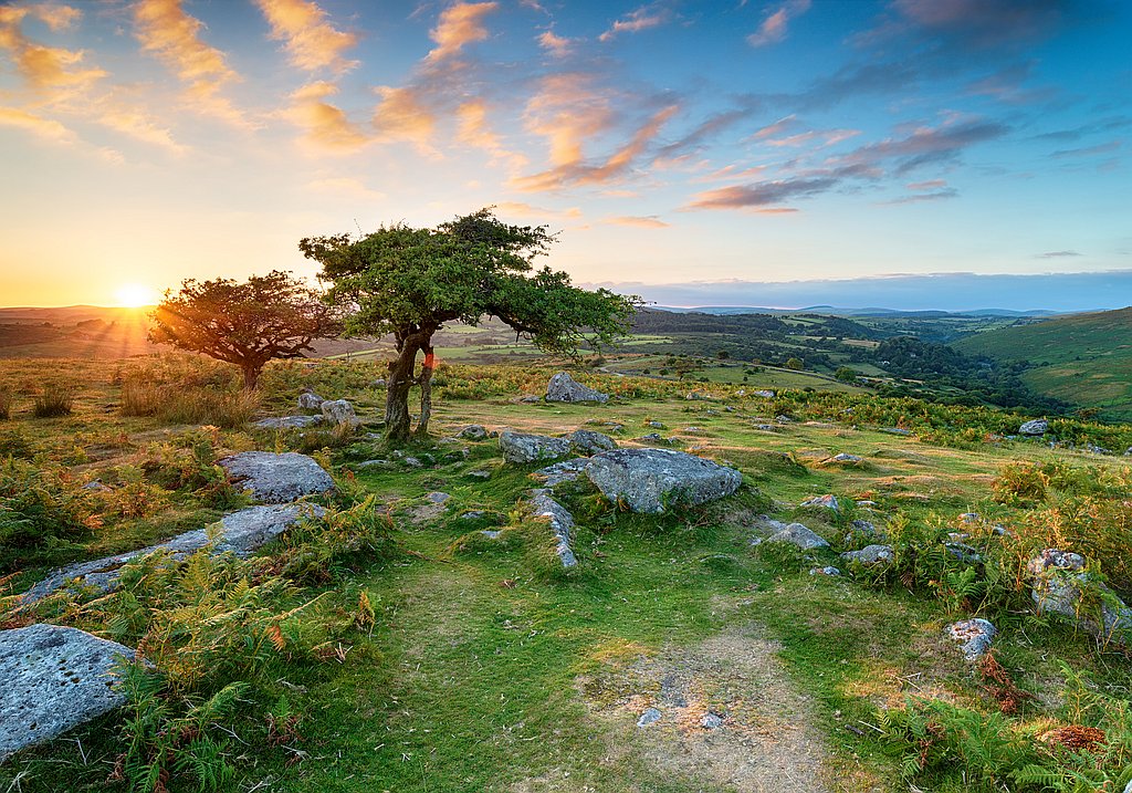 Reise in den Dartmoor National Park UK