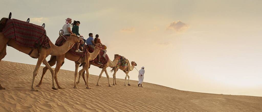 Worldwide travel: camel trek in the desert of Dubai